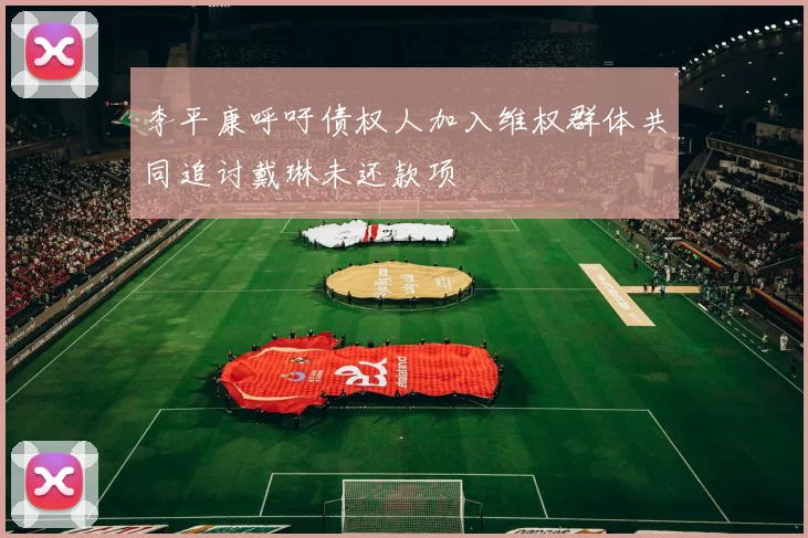 李平康呼吁债权人加入维权群体共同追讨戴琳未还款项