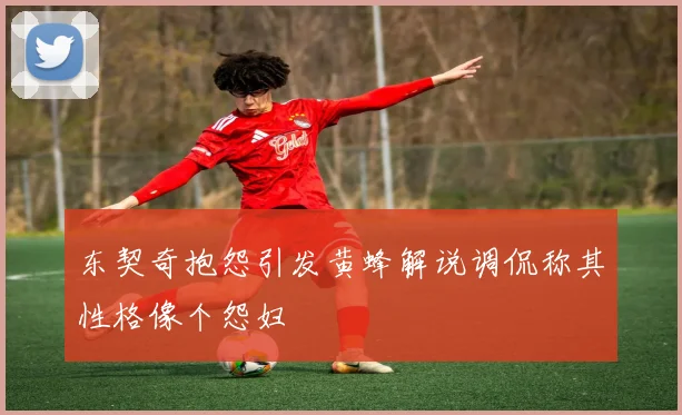 东契奇抱怨引发黄蜂解说调侃称其性格像个怨妇