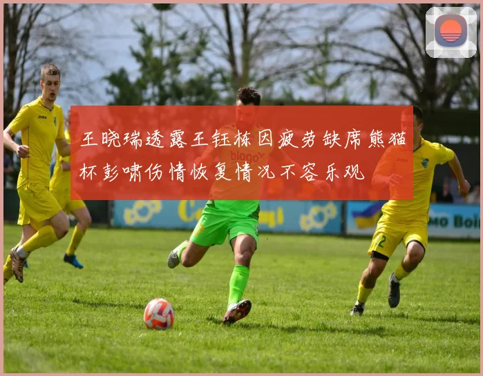 王晓瑞透露王钰栋因疲劳缺席熊猫杯彭啸伤情恢复情况不容乐观