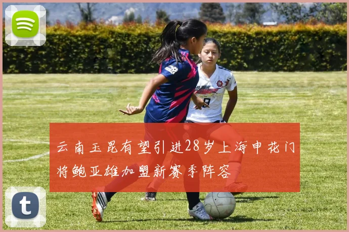 云南玉昆有望引进28岁上海申花门将鲍亚雄加盟新赛季阵容