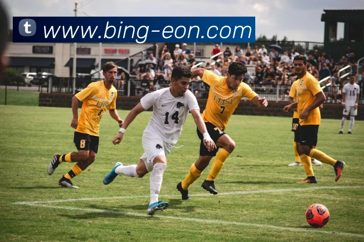 意昂体育服务体系